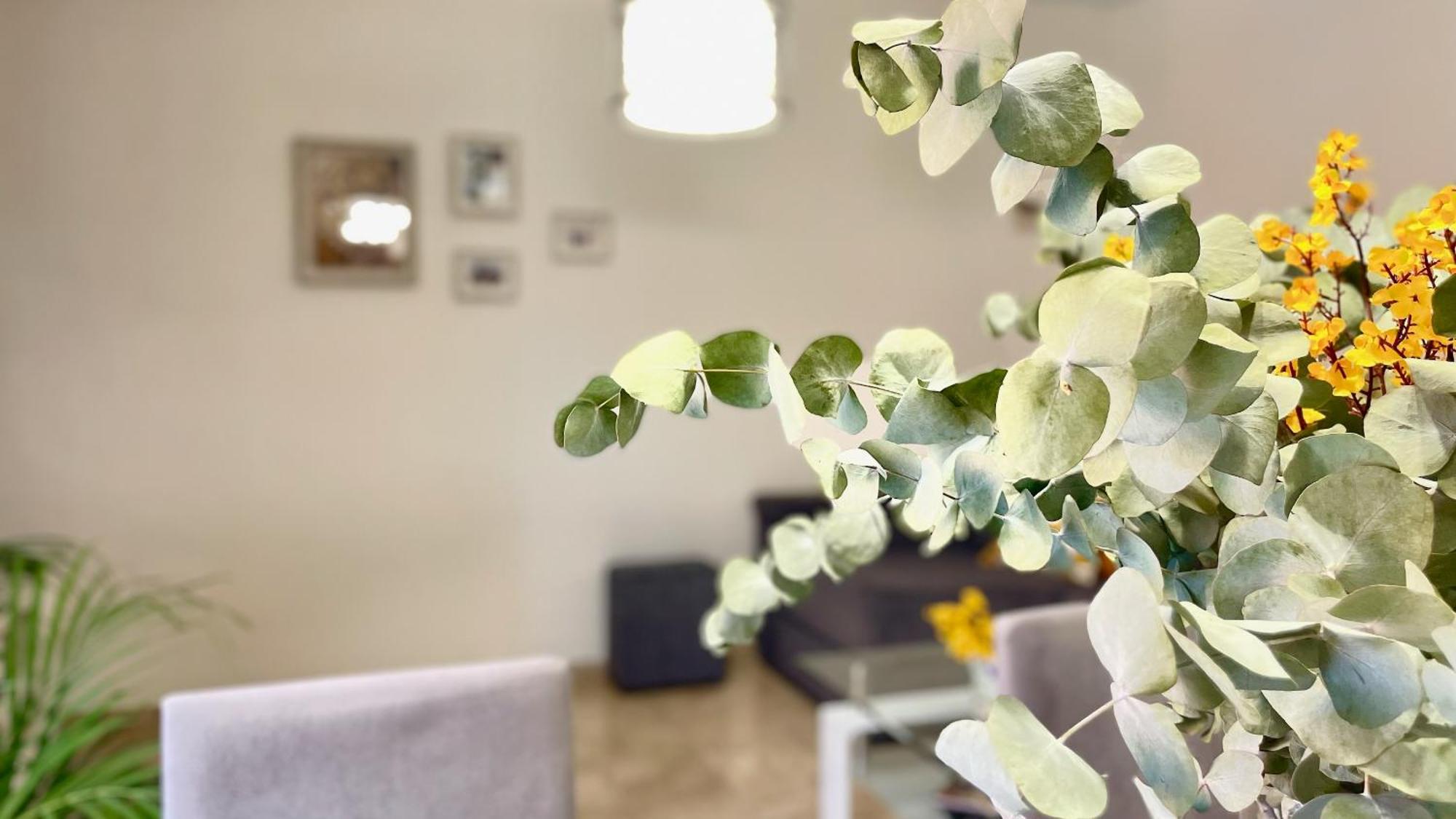 Apartamento Nuevo, Con Parking Gratuito Y A Un Paso Del Casco Historico Córdoba